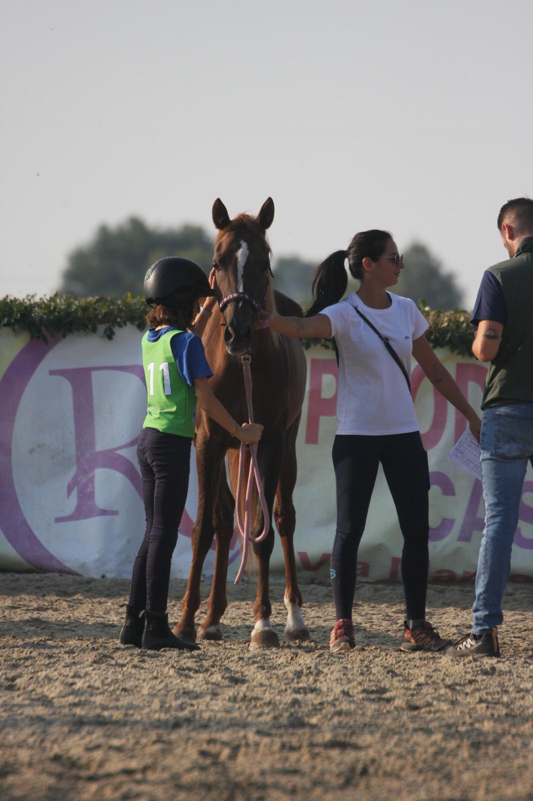 Lezioni di equitazione