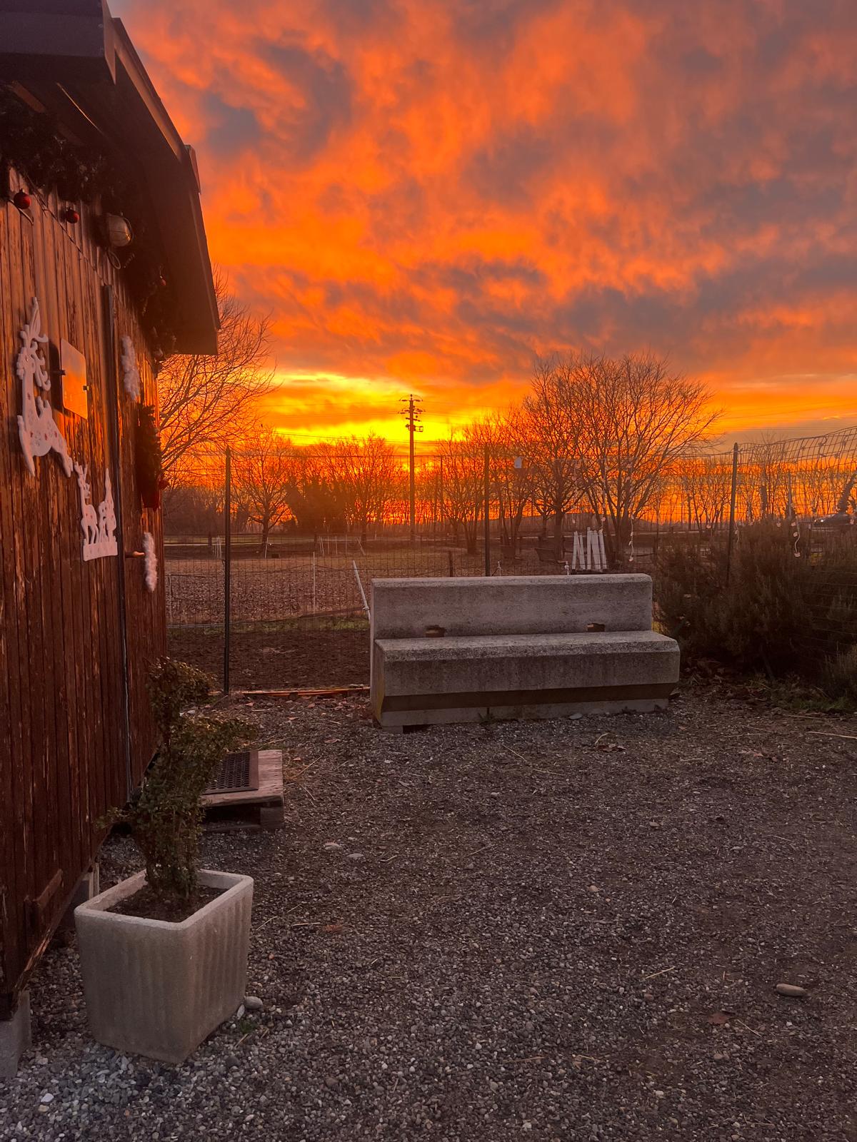 Cavallo al tramonto nel nostro centro